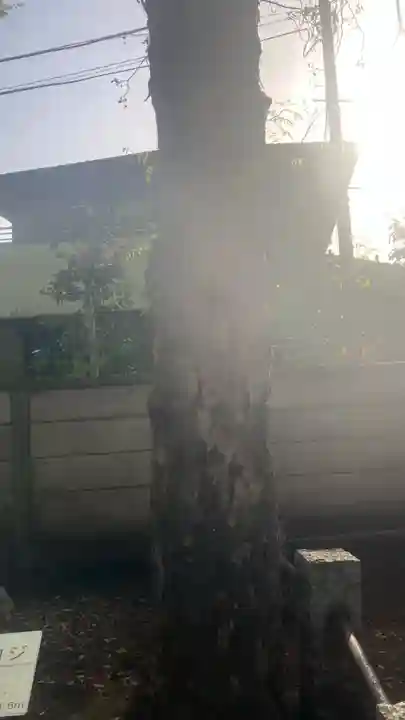 北野神社(東京都)