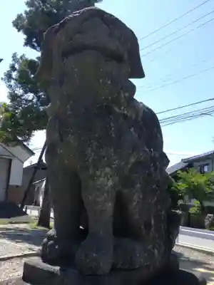 新川神社の狛犬