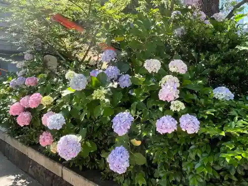 日枝神社(東京都)