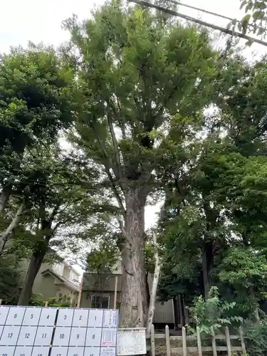 瘡守稲荷神社の自然