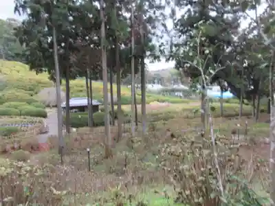 三室戸寺(京都府)