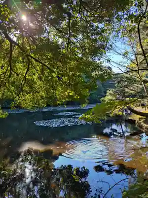 明治神宮(東京都)