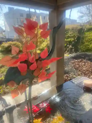 釧路一之宮 厳島神社の手水舎