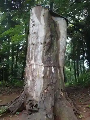 八幡社(千葉県)