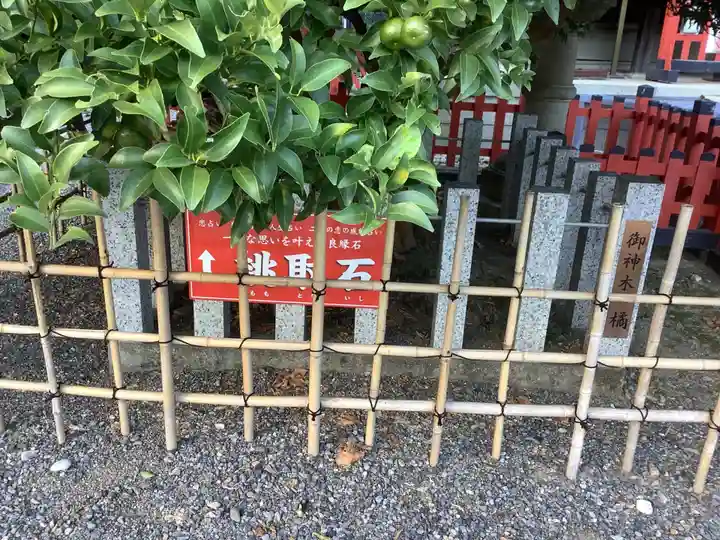 城山八幡宮のその他建物