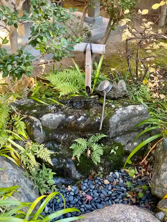 来迎寺(井戸来迎寺・紫雲山来迎寺)(京都府)