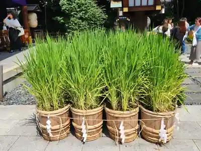 東京大神宮のその他建物