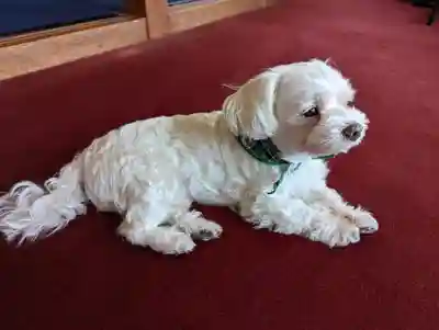 本昌寺(京都府)