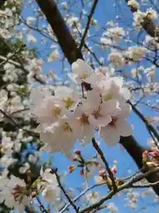 牛嶋天満宮(佐賀県)(2025年03月31日(月) 21時24分56秒投稿)