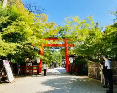 賀茂御祖神社(下鴨神社)の鳥居