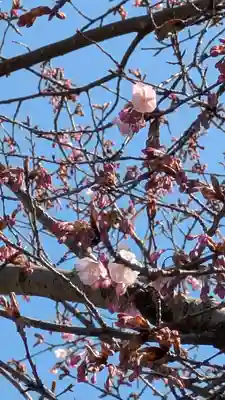 清浄華院(京都府)