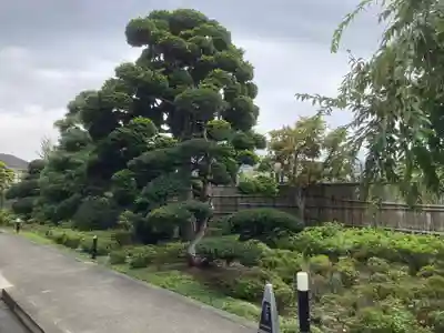 太岳院(神奈川県)