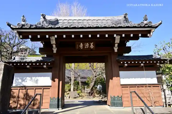 養源寺の山門・神門