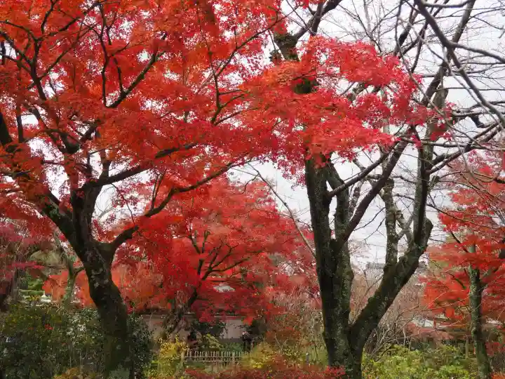 天龍寺(京都府)