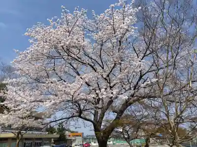 福井別院本瑞寺(福井県)