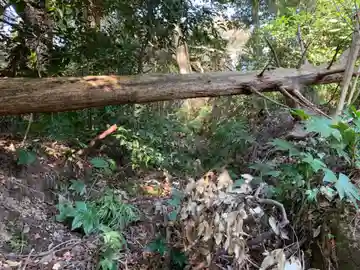 八坂神社(千葉県)