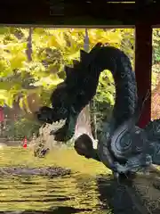 北口本宮冨士浅間神社の手水