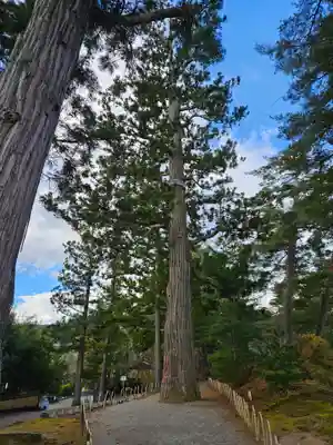 毛越寺(岩手県)