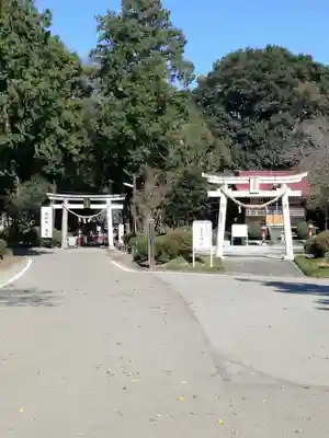 天狗山雷電神社の鳥居
