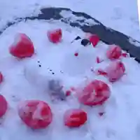 彌彦神社 (伊夜日子神社)(北海道)