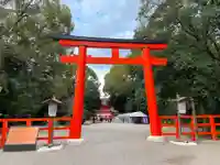 賀茂御祖神社(下鴨神社)の鳥居