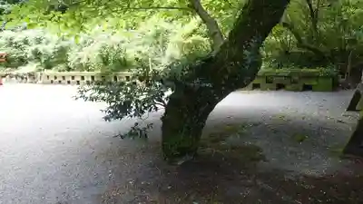 花尾神社(鹿児島県)