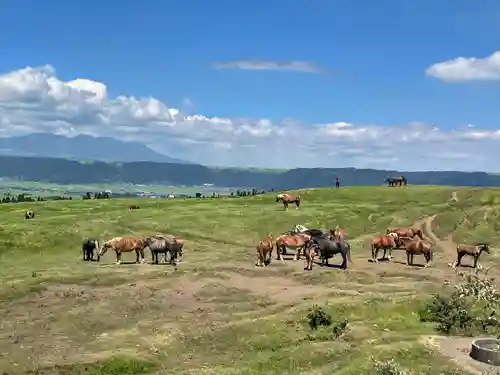 山上身代不動(熊本県)