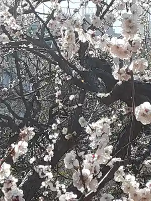 湯島天満宮(東京都)