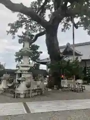 大慶寺の建物その他