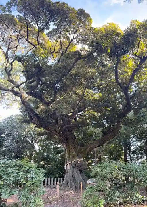 新日吉神宮(京都府)