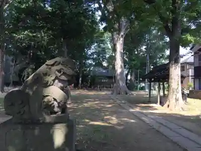 八王子神社の狛犬