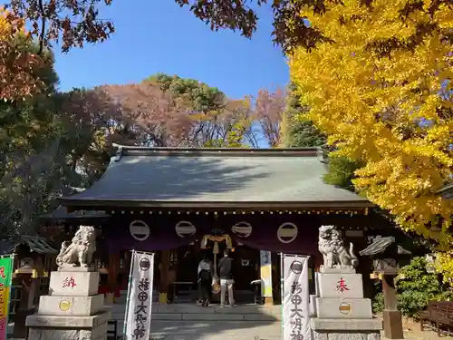 新田神社の本殿・本堂