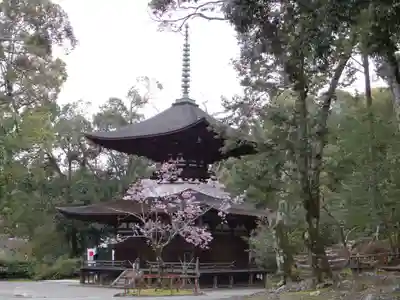 石山寺(滋賀県)