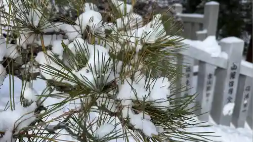 函館八幡宮(北海道)
