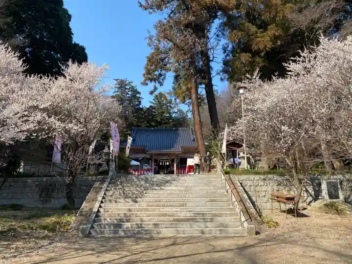 千代ケ岡八幡宮(栃木県)