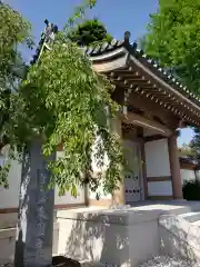 東円寺の山門