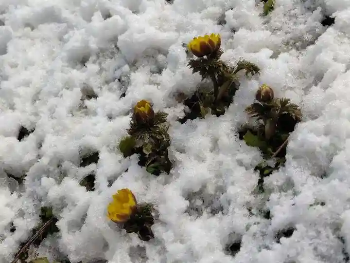 正観音堂(福島県)