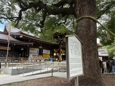 明治神宮(東京都)