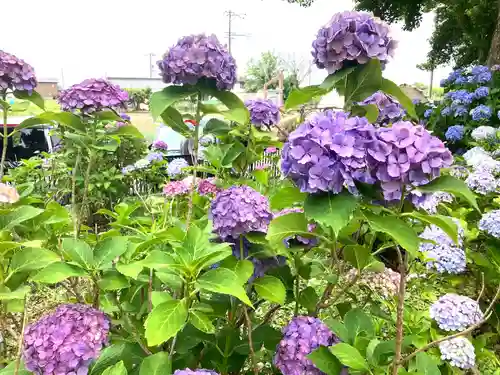 音楽寺(愛知県)