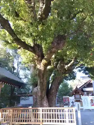 和泉國一之宮　大鳥大社(大阪府)