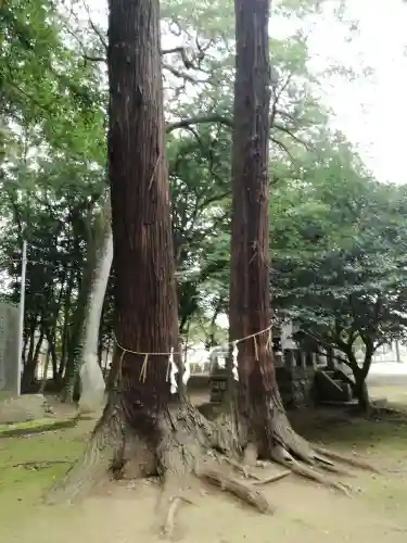 東蕗田天満社の自然