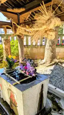 今井神社の手水舎