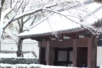 忍　諏訪神社・東照宮　の{uncategorized: "未分類", other: "その他", undefined: "問題あり", building: "その他建物", grave: "お墓", sacred_gate: "鳥居", guardian: "狛犬", statue: "像", buddha: "仏像", history: "歴史", nature: "自然", garden: "庭園", animal: "動物", pagoda: "塔", temizu: "手水舎", mountain_gate: "山門・神門", sanctuary: "本殿・本堂", subordinate: "末社・摂社", art: "芸術", scenery: "景色", jizo: "地蔵", ema: "絵馬", goshuin: "御朱印", omikuji: "おみくじ", items: "授与品その他", amulet: "お守り", goshuincho: "御朱印帳", eats: "食事", festival: "お祭り", votive_dance: "神楽", shichigosan: "七五三参", wedding: "結婚式", experience: "体験その他", initially: "初詣", around: "周辺", anti_infection: "感染症対策"}