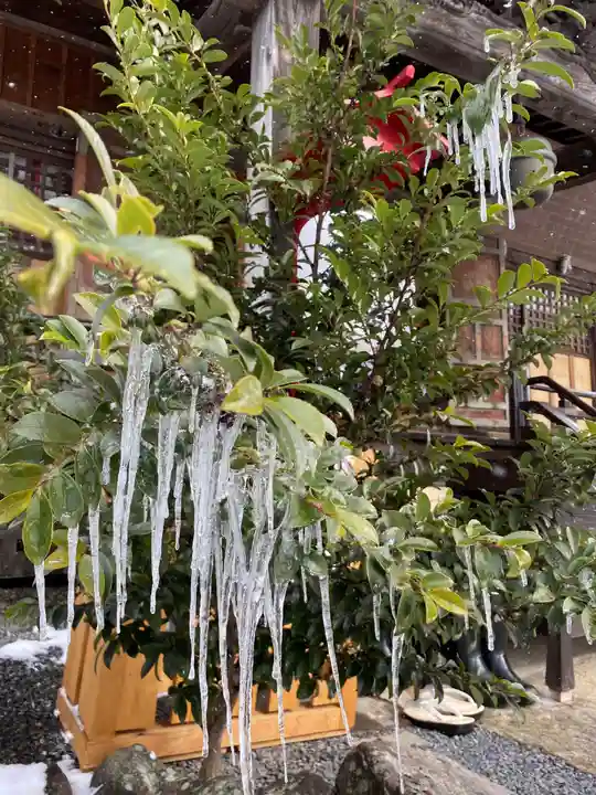 大鏑神社の自然