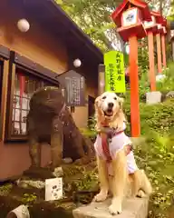 熊野皇大神社の動物