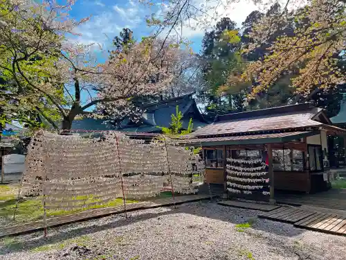 駒形神社のおみくじ