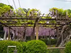 日吉神社(東京都)