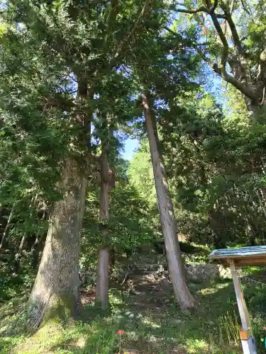葉梨神社(静岡県)