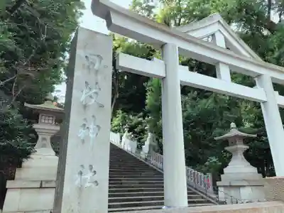 日枝神社の鳥居
