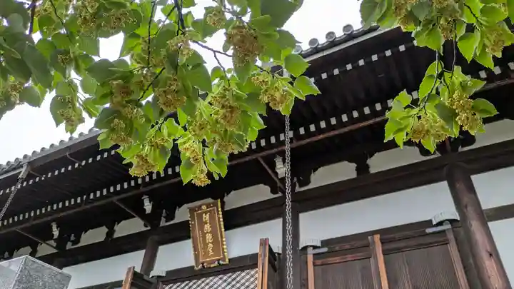 くろ谷 金戒光明寺(京都府)